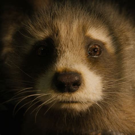 Guardians of the Galaxy Vol. 3 review: gorgeous spectacle and schmaltzy.